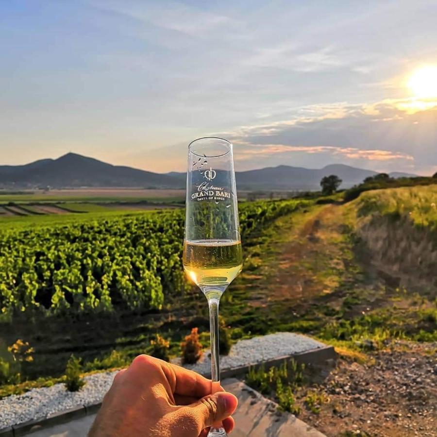 Chateau Grand Bari Ξενοδοχείο Bara Εξωτερικό φωτογραφία